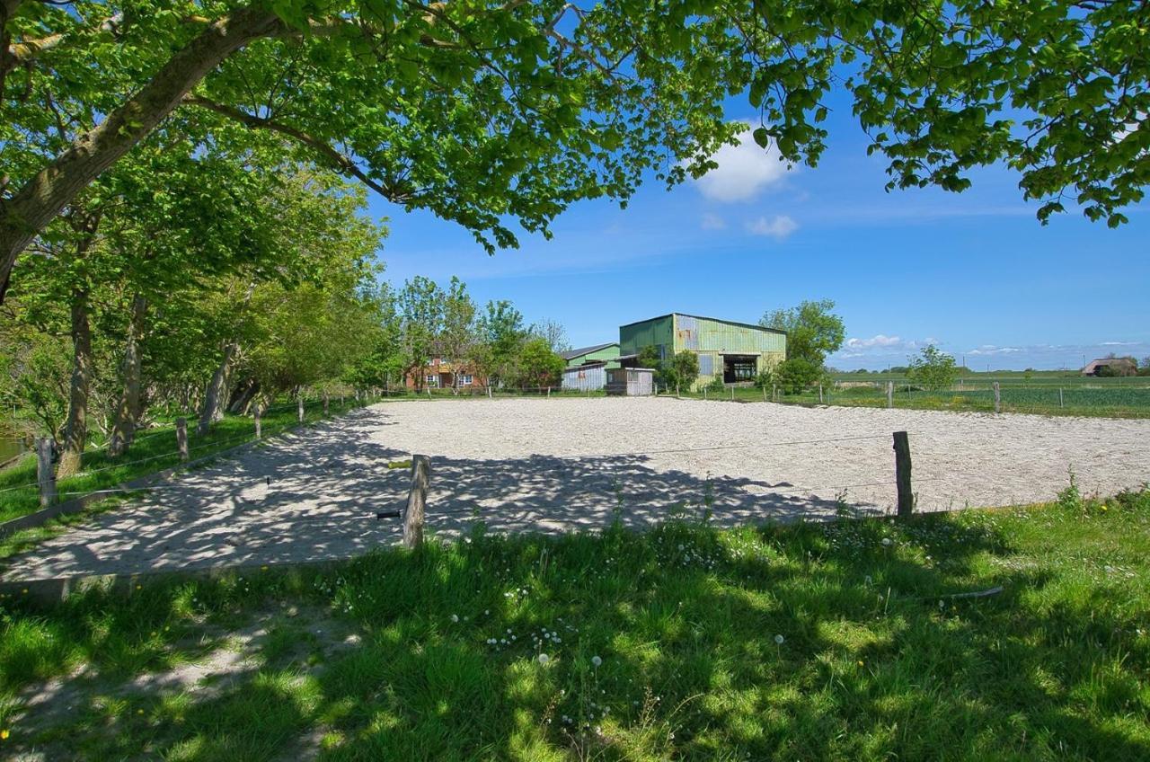 Fewo Auf Dem Lande / Nahe Spo Tumlauer Koog Exterior photo