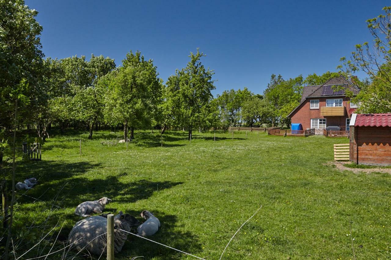 Fewo Auf Dem Lande / Nahe Spo Tumlauer Koog Exterior photo